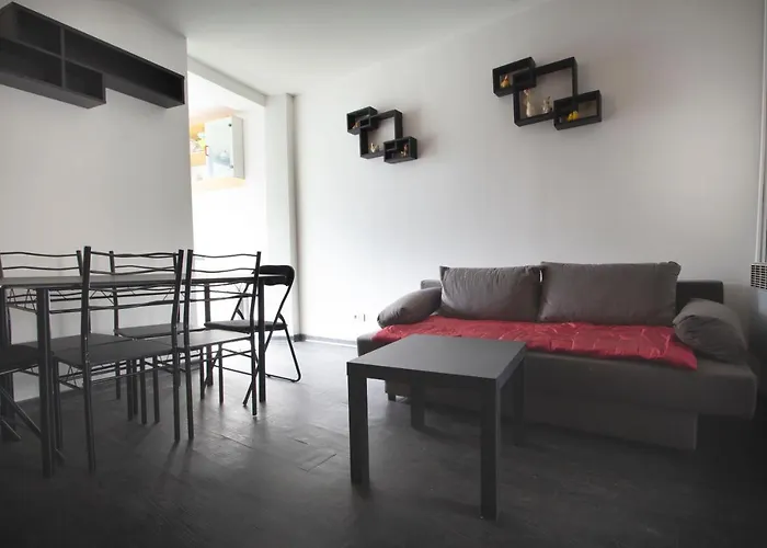 Appartement 2 Pieces De 48 M2